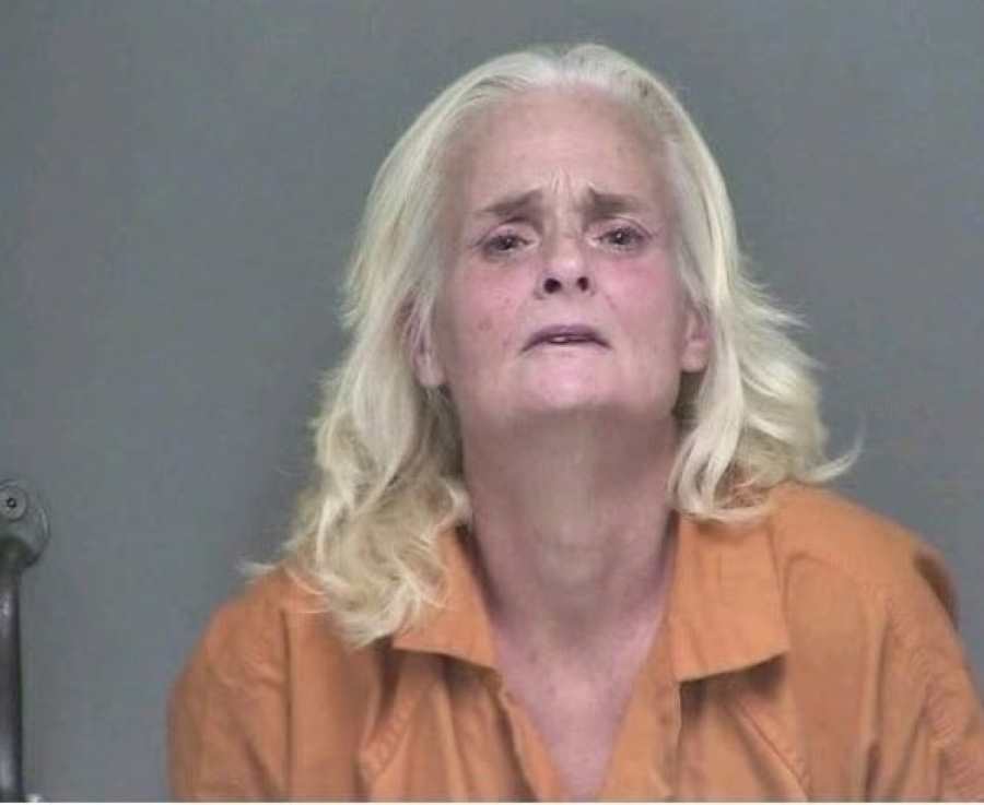 Arrest Made in Baxley Dog Attacks