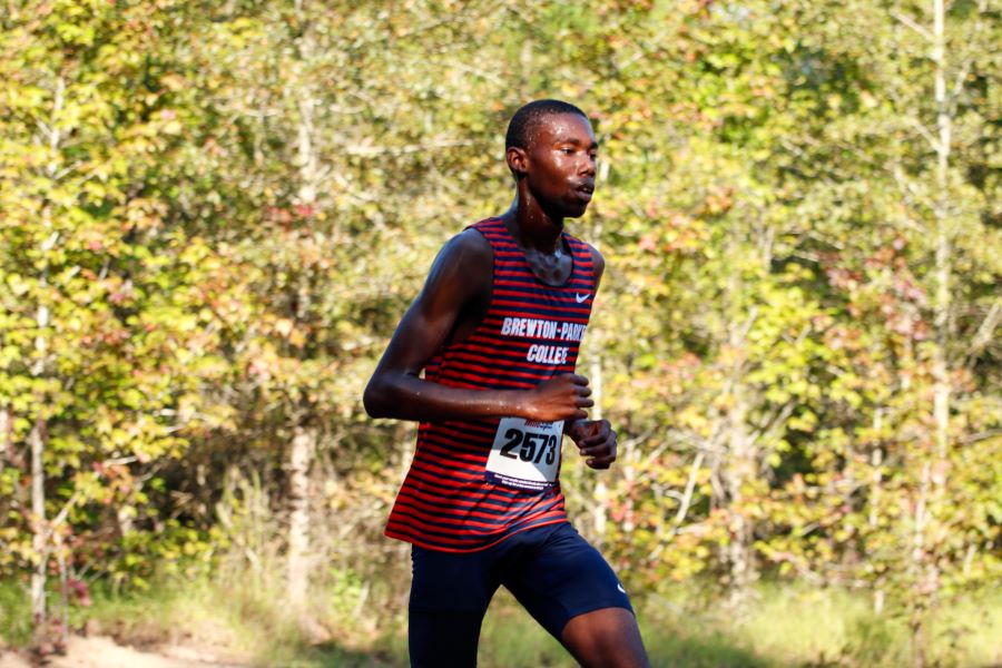 Barons Compete at UNG XC Invitational 